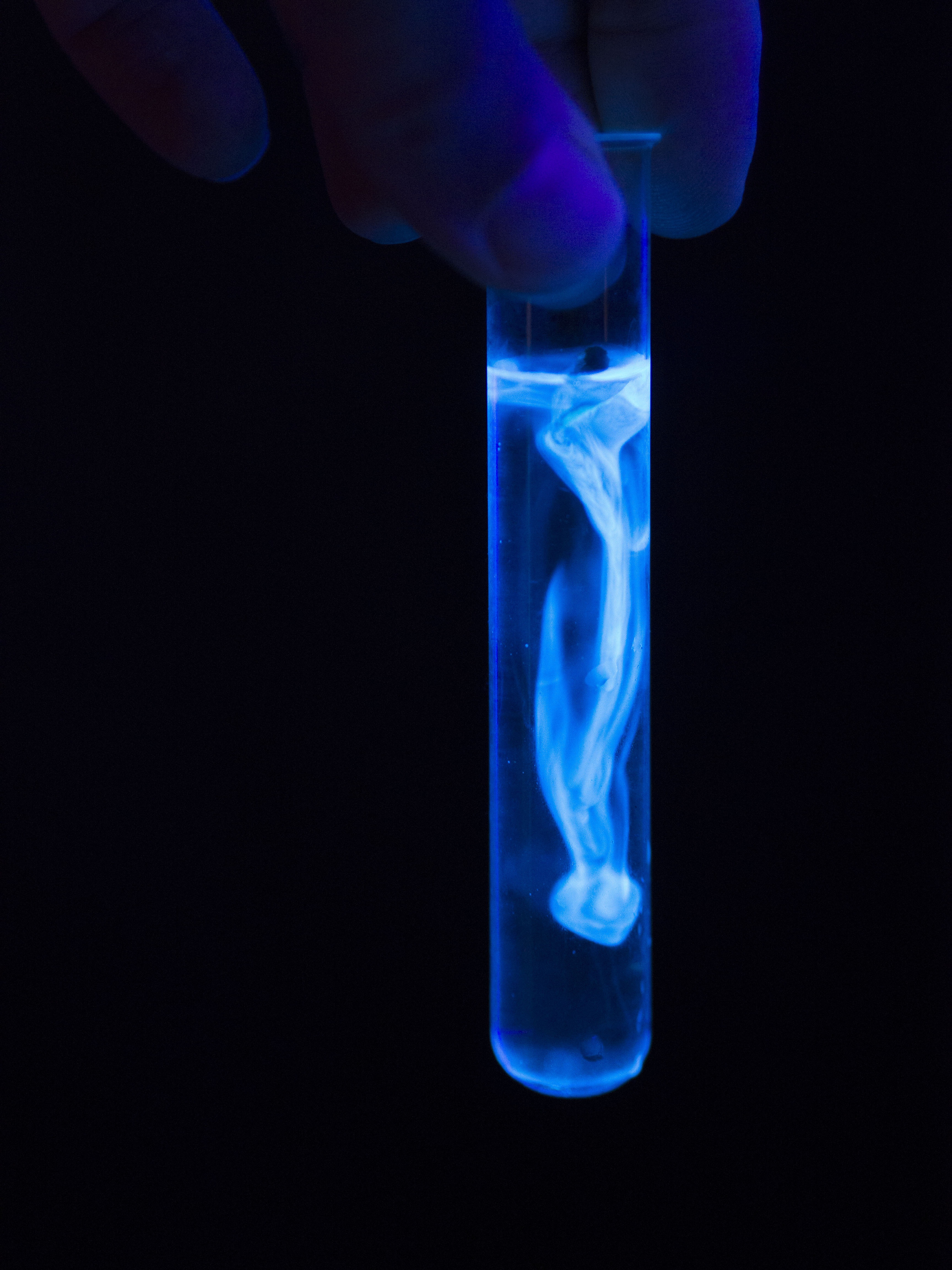 Doctoral Dissertation